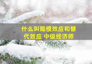 什么叫规模效应和替代效应 中级经济师